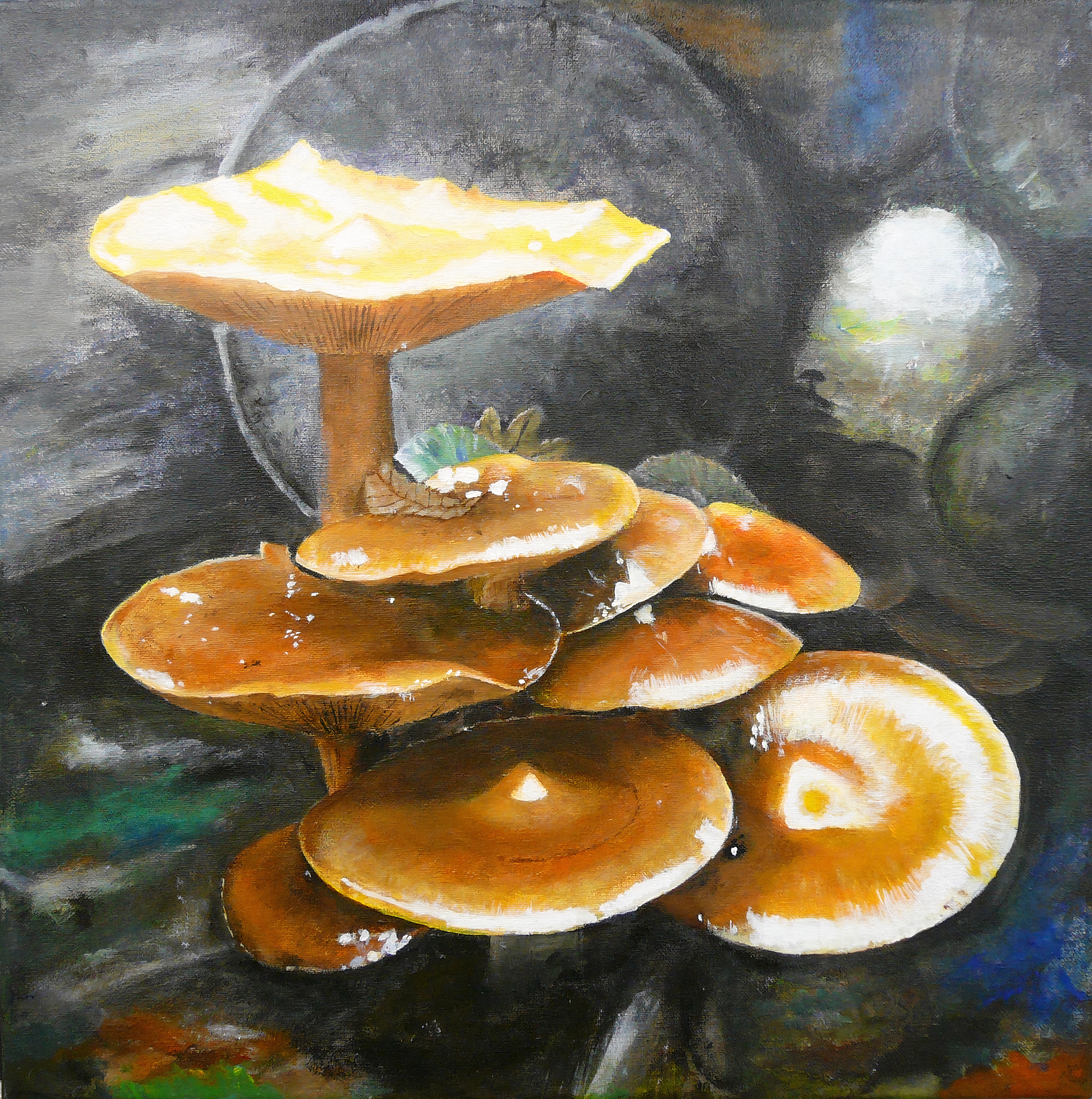 Schilderij Paddestoelen